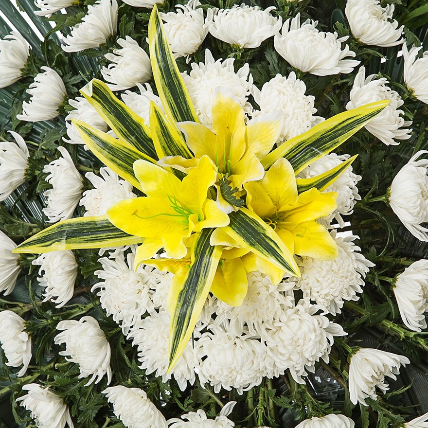 상세이미지