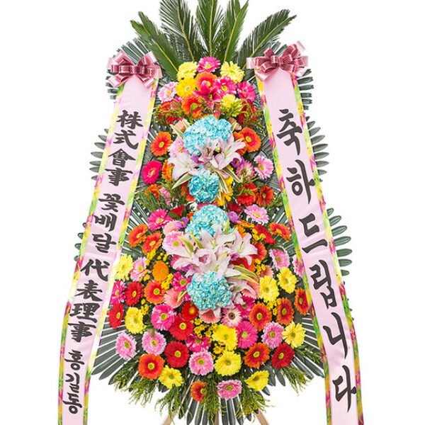 축하 최고급 프리미엄