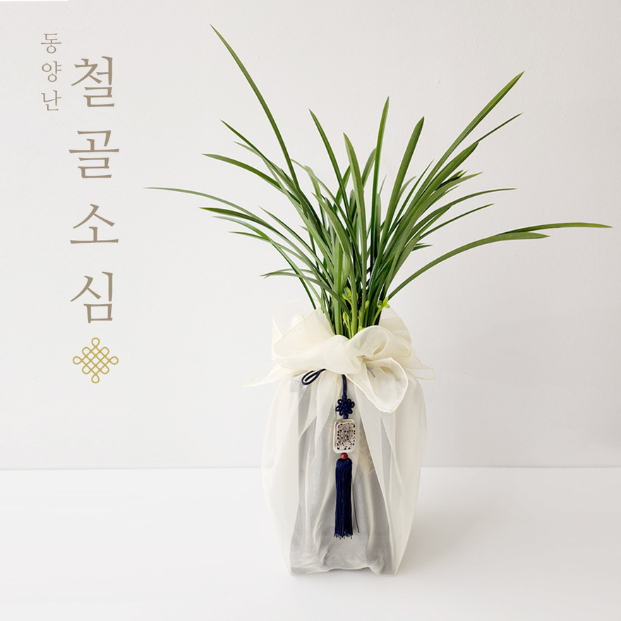 wg1048_01-1 상세이미지
