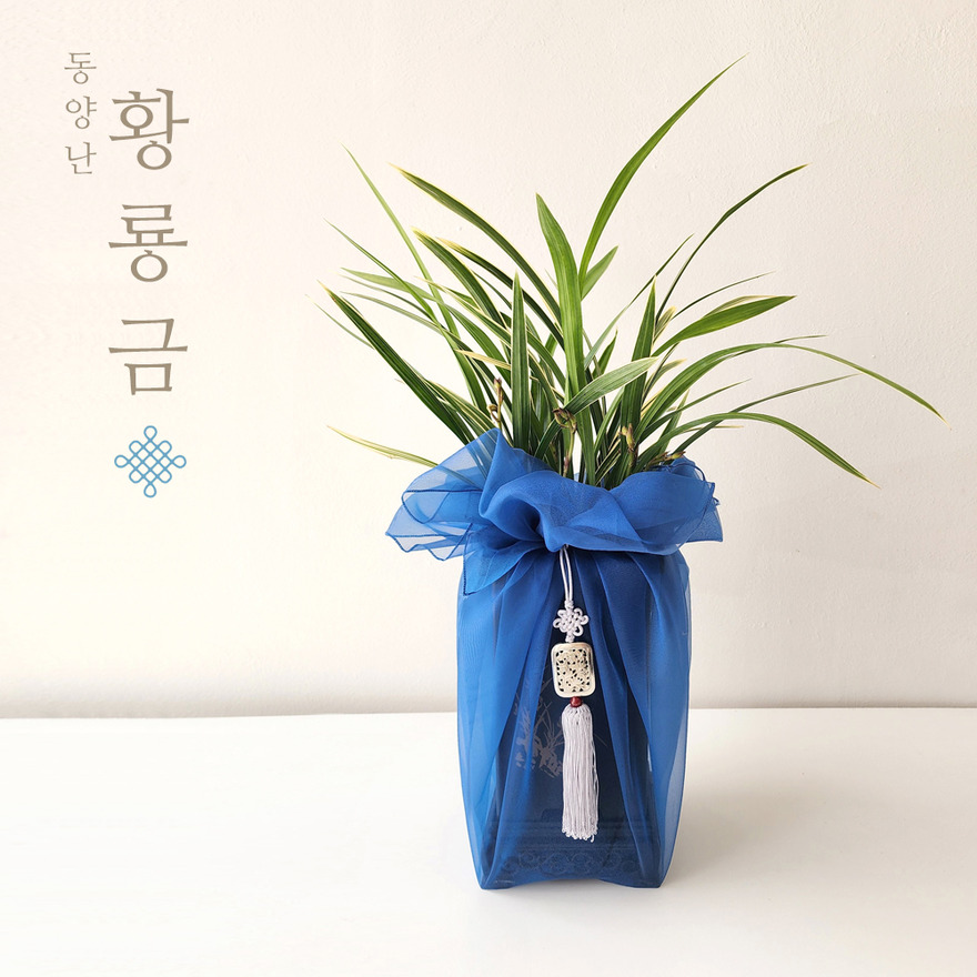 wg1049_01-1 상세이미지