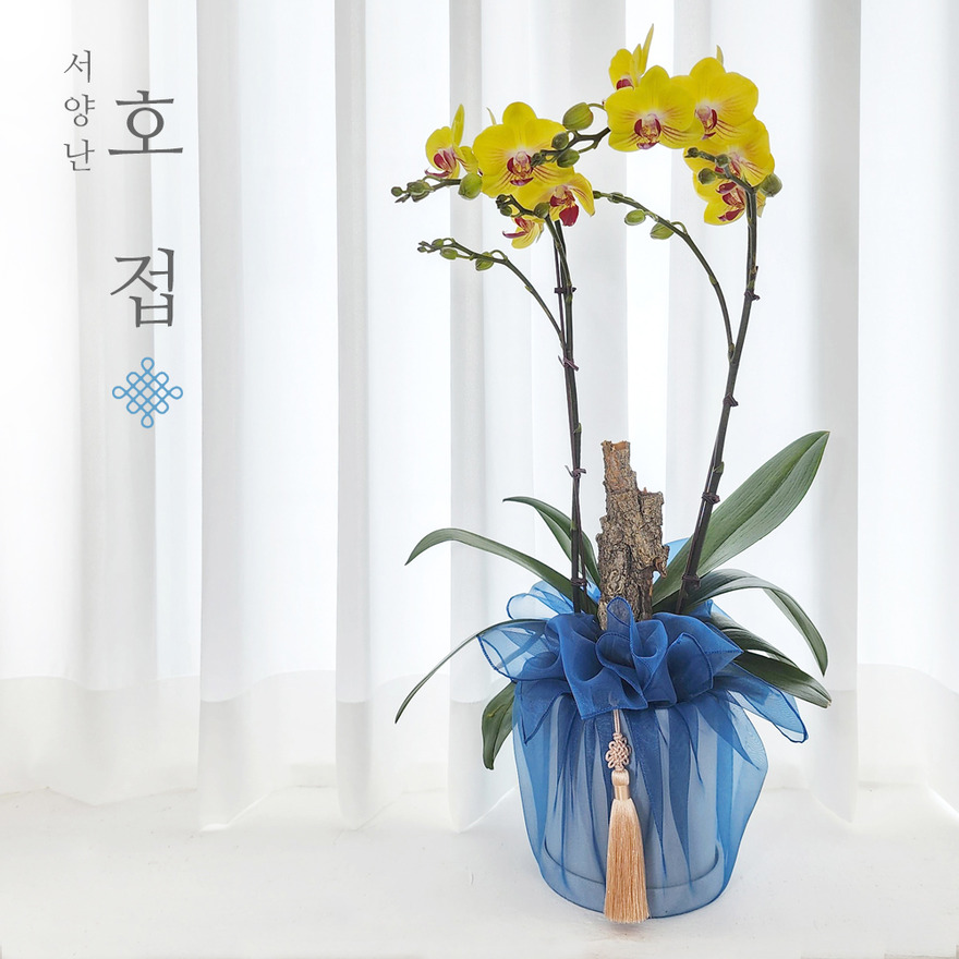 wg1053_01-1 상세이미지