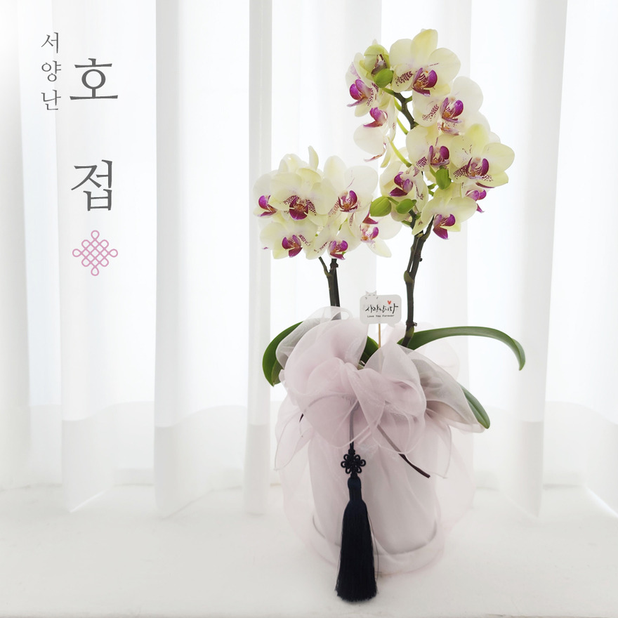 wg1055_01-1 상세이미지