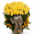 100 yellow roses