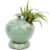 Daeguk is a high-class celadon