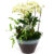 Flossensett
