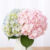 [FlowLO] Hydrangea Set + Vase